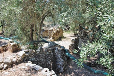 Calabria 'daki ünlü hayalet kasaba Oppido Vecchia' nın taklitleri, 1783 'te bir deprem tarafından yok edildi.