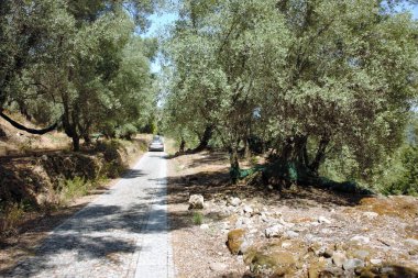 Calabria 'daki ünlü hayalet kasaba Oppido Vecchia' nın taklitleri, 1783 'te bir deprem tarafından yok edildi.