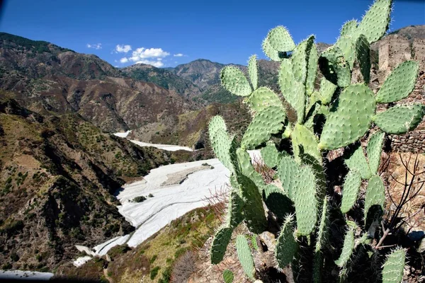 Aspromonte Ulusal Parkı, Calabria, İtalya 'daki Amendolea Nehri
