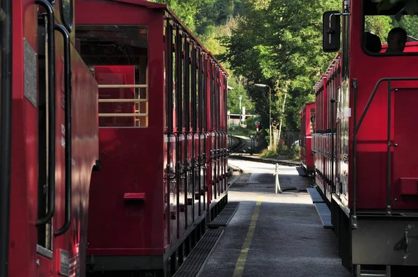 Schafberg Demiryolu Treni Yukarı Avusturya Salzburg Bulunan Bir Çarklı Demiryoludur — Stok fotoğraf