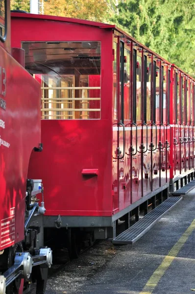 Schafberg Demiryolu Treni Yukarı Avusturya Salzburg Bulunan Bir Çarklı Demiryoludur — Stok fotoğraf