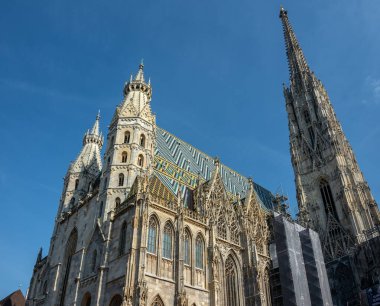 Stephansdom (Aziz Stephen Katedrali) ve Stephansplatz manzarası