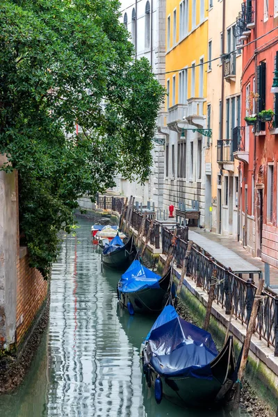 Венеція Холодну Зиму Грудні Поваленої Туристичної Колії Приховані Кути Прихована — стокове фото
