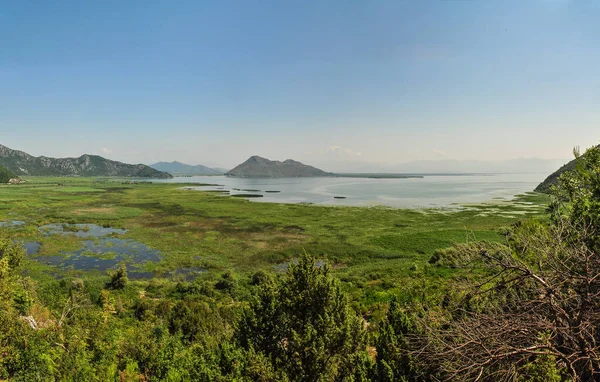 Вид Идиллическое Озеро Скадар Шкодор Черногория — стоковое фото