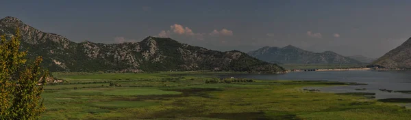 Lírios Água Água Limpa Lago Skadar Montenegro Albânia Fundo São — Fotografia de Stock