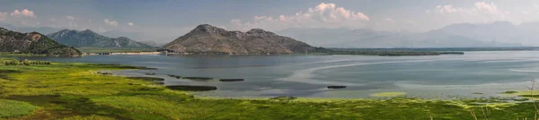 黑山和阿尔巴尼亚斯卡达尔湖清澈水面上的睡莲 背景是小岛屿 它是黑山最大的湖泊 也是欧洲最大的鸟类保护区 — 图库照片