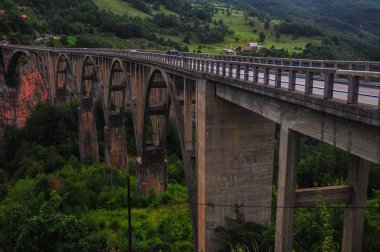 Curcevica Tara Köprüsü, kuzey Karadağ 'daki Tara Nehri üzerinde beton kemerli bir köprü. 1937 ve 1940 yılları arasında inşa edilmiş, 365 metre uzunluğunda ve yol nehrin 172 metre yukarısında bulunuyor..