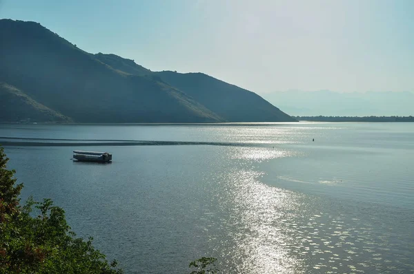 Водяные Лилии Чистой Воде Озера Скадар Черногории Албании Заднем Плане — стоковое фото