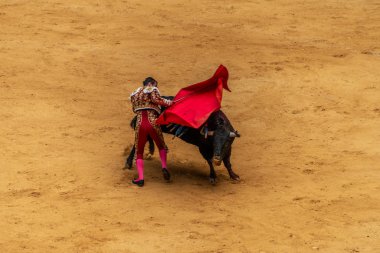 Geleneksel Bask tarzında San Sebastioan 'da boğa güreşi