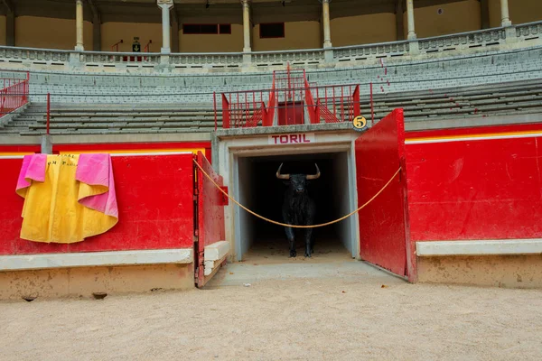 Impressions Famous Bullfight Arena Pamplona — Stock Photo, Image