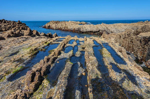 Zumaia geology special coast, the famous Flysch Coast in Northern Spain