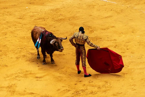 Bullfight San Sebastioan Traditional Basque Way — Stock Photo, Image