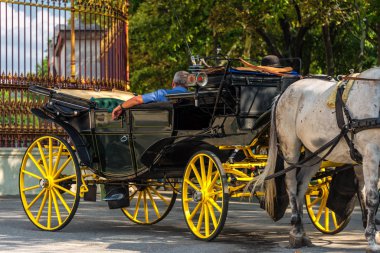 At arabası ya da Fiaker, popüler turist eğlencesi, İmparatorluk Bahçesi Kapısı yakınlarında mola veriyor.