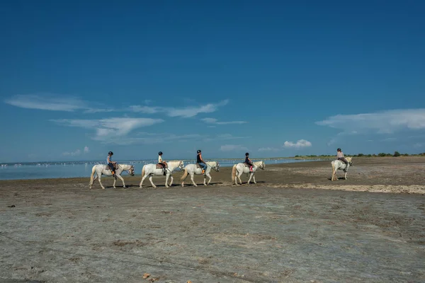 Een Groep Toeristen Rijdt Witte Paarden Camargue Frankrijk Paardrijden Een — Stockfoto