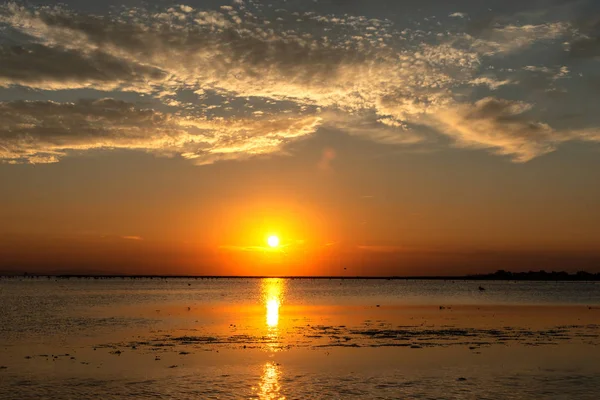 Atemberaubender Sonnenaufgang Über Der Camargue — Stockfoto