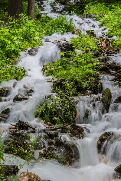 Cachoeiras Cascata Parque Nacional Gosaulake Áustria — Fotografia de Stock