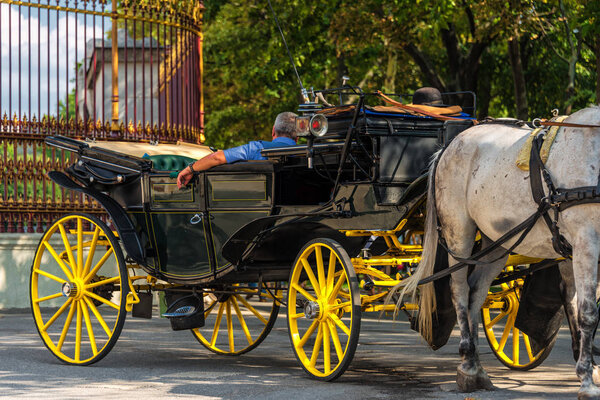 Horse-drawn carriage or Fiaker, popular tourist attraction, making a break near the Gate of Imperial Garden