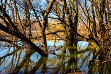 İlkbaharın başlarında Devin Slovakya yakınlarında Morava Nehri (Moldau Nehri) ve Tuna Nehri 'nin Etkisi