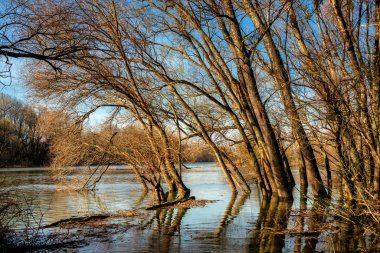 İlkbaharın başlarında Devin Slovakya yakınlarında Morava Nehri (Moldau Nehri) ve Tuna Nehri 'nin Etkisi