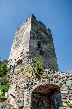 Spitz, Wachau, Avusturya 'daki Hinterhaus şatosundan, Tuna Nehri ile Avrupa' dan görüntü