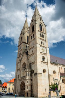 Ünlü Wiener Neustadt Katedrali 'ne bakın. Mary ve St. Rupert Katedrali.