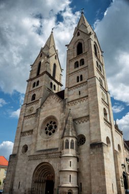Ünlü Wiener Neustadt Katedrali 'ne bakın. Mary ve St. Rupert Katedrali.