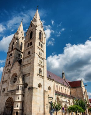 Ünlü Wiener Neustadt Katedrali 'ne bakın. Mary ve St. Rupert Katedrali.