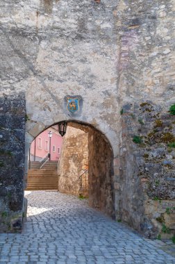 Kule kapısı - Fischertor, Hainburg an der Donau ortaçağ kasabasının kapısı, kasaba Bruck an der Leitha bölgesinde, Aşağı Avusturya, Avusturya. Avusturya 'nın en doğusundaki şehir