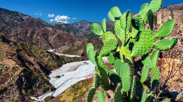 Aspromonte Ulusal Parkı 'ndaki Amendolea Nehri' nin üzerinde köprü, Calabria, İtalya
