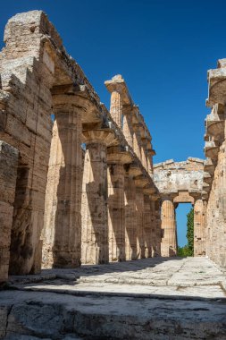 Klasik Yunan Tapınağı'nda Harabeleri antik kentin Paestum, Cilento, İtalya