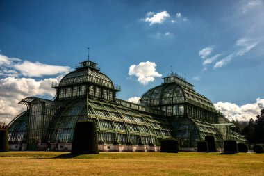 Schonbrunn saray parkındaki Palmenhaus Schonbrunn serasında. 1882 'de açıldı, Schonbrunn Sarayı Parkı' ndaki dört seradan en önde gelenidir.