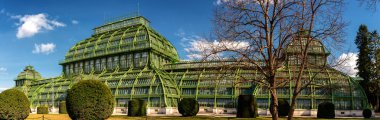Schonbrunn saray parkındaki Palmenhaus Schonbrunn serasında. 1882 'de açıldı, Schonbrunn Sarayı Parkı' ndaki dört seradan en önde gelenidir.