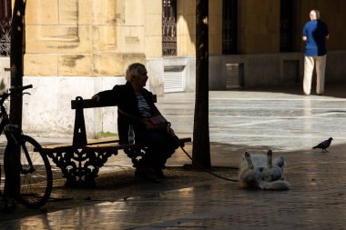 San Sebastian 'daki sokak manzarası, şehrin sayısız parklarından birinde köpekli yaşlı kadın.