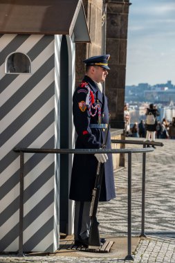 Prag Kalesi 'ndeki Başkanlık Sarayı' nın onur muhafızları. Bu özel birimde 600 asker var..