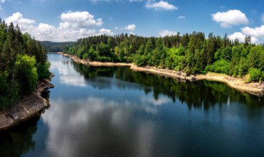 Dried out trees and tree trunks on the shore of Ottensteiner lake. Beautiful  summer in Waldviertel, Ottenstein, Austria