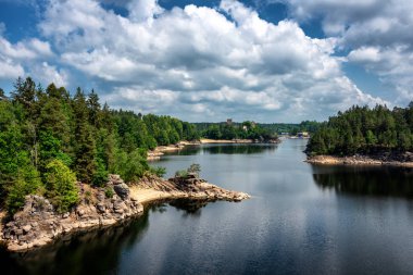 Dried out trees and tree trunks on the shore of Ottensteiner lake. Beautiful  summer in Waldviertel, Ottenstein, Austria