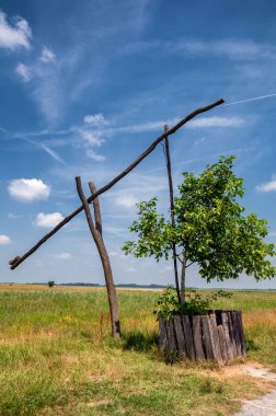 Puszta, Ulusal Park Gölü Neusiedl, Burgenland, Avusturya 'da güzel ve sazdan bir kulübe çiz.