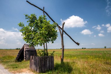 Puszta, Ulusal Park Gölü Neusiedl, Burgenland, Avusturya 'da güzel ve sazdan bir kulübe çiz.