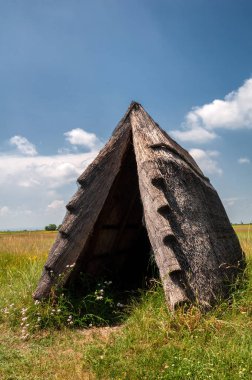 Puszta, Ulusal Park Gölü Neusiedl, Burgenland, Avusturya 'da güzel ve sazdan bir kulübe çiz.