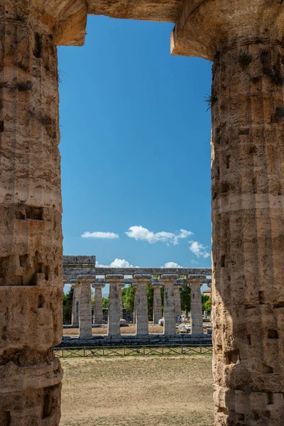 Klasik Yunan Tapınağı Nda Harabeleri Antik Kentin Paestum Cilento Talya — Stok fotoğraf