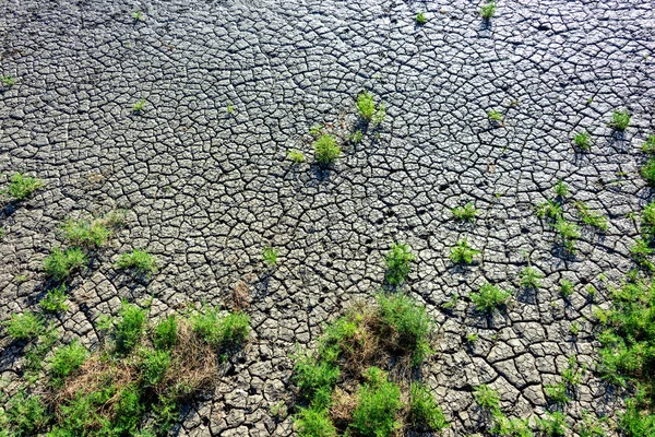 Sequía Grietas Tierra Desastres Naturales — Foto de Stock