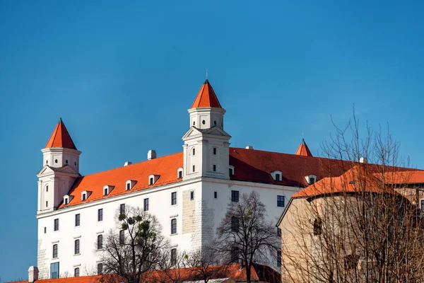Вид Братиславський Замок Прохолодне Туманне Весняне Ранок — стокове фото