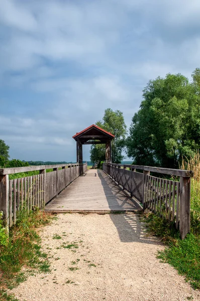 Bridge Andau Escape Route 000 Hungarian People Hungarian Revolution — ストック写真