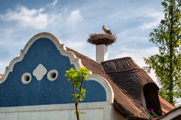 Traditional House Facade Stork Nest Roof Apetlon Burgenland — 스톡 사진