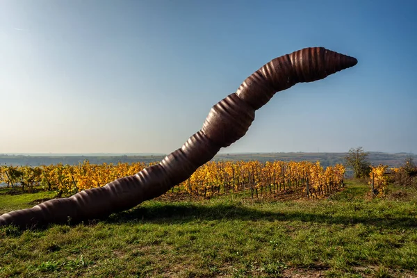 大雕刻家 沿着兰根洛伊斯著名的葡萄酒之路 俯瞰着下奥地利的温维尔特尔河 尽收眼底 是蚯蚓的雕塑 — 图库照片