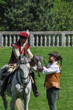 Rosenburg Şatosu 'ndaki şahinler. Yazın şahinler ve kartallarla gösteriler yapılır.