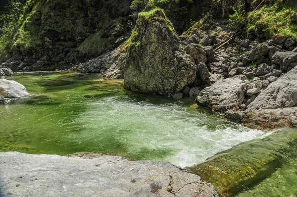 Oetscher Ulusal Parkı Nda Şelaleler Şelaleler — Stok fotoğraf