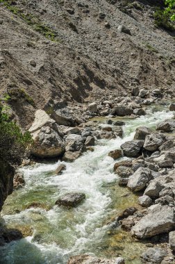 Oetscher Ulusal Parkı 'nda Şelaleler ve Şelaleler