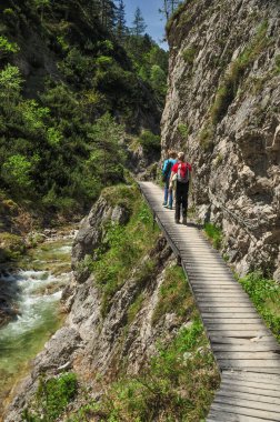 Oetscher Ulusal Parkı 'nda Şelaleler ve Şelaleler