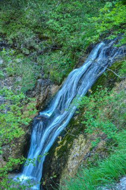 Oetscher Ulusal Parkı 'nda Şelaleler ve Şelaleler